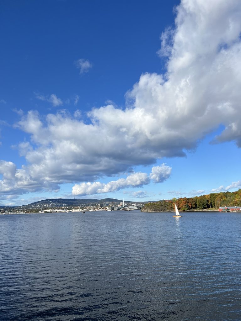 Oslo în 5 pași